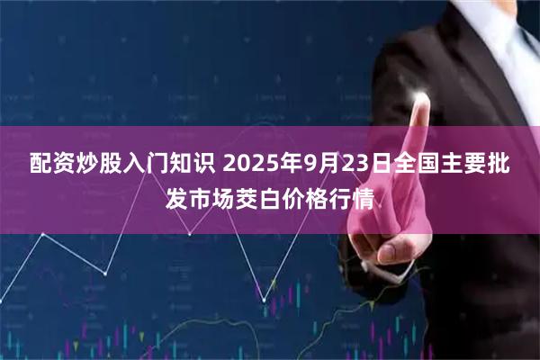 配资炒股入门知识 2025年9月23日全国主要批发市场茭白价格行情