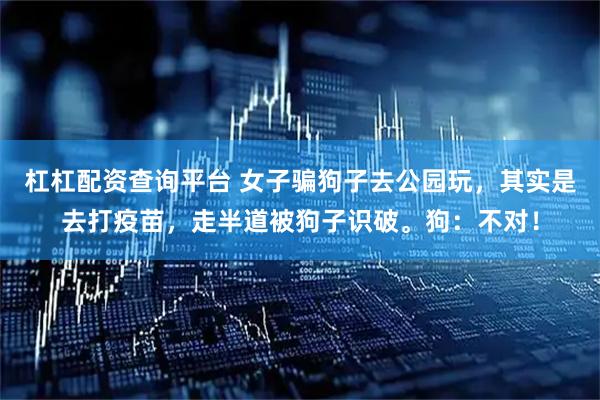 杠杠配资查询平台 女子骗狗子去公园玩，其实是去打疫苗，走半道被狗子识破。狗：不对！