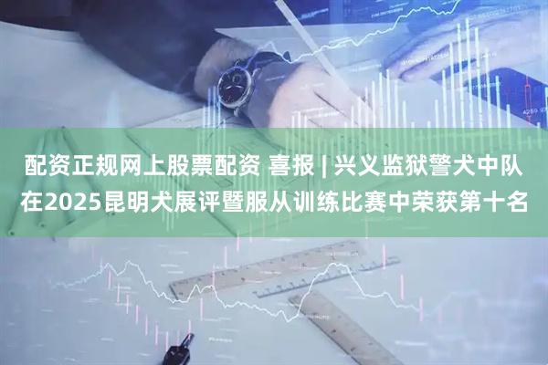 配资正规网上股票配资 喜报 | 兴义监狱警犬中队在2025昆明犬展评暨服从训练比赛中荣获第十名